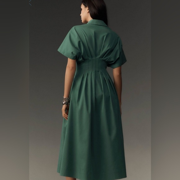 Tobie Midi Button-Front Pleated Midi Dress - Picture 2 of 5